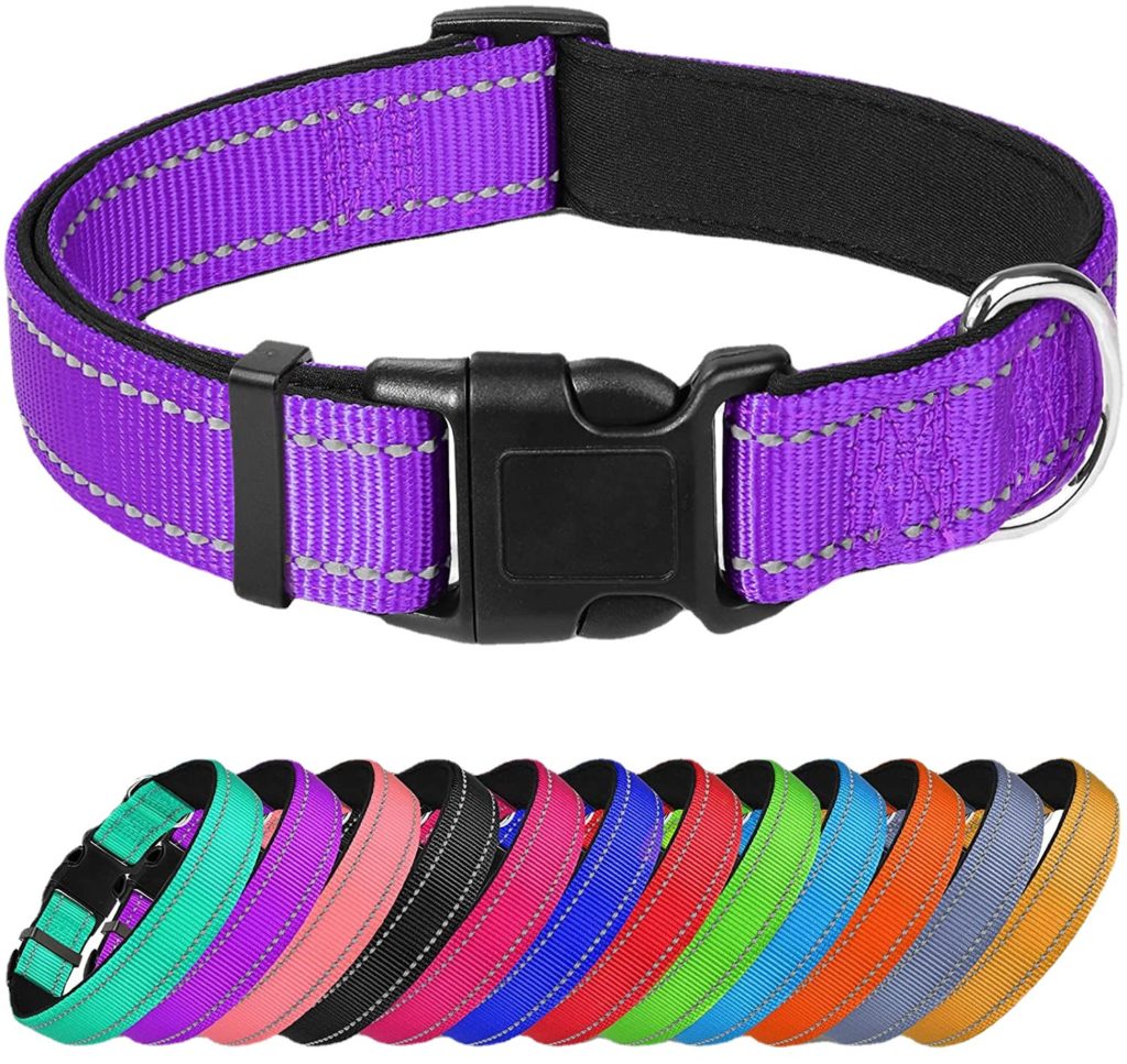 Pets: Reflective Dog Collar and Leash Set