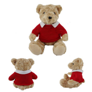 Red Shirt Collar Sweater Bear